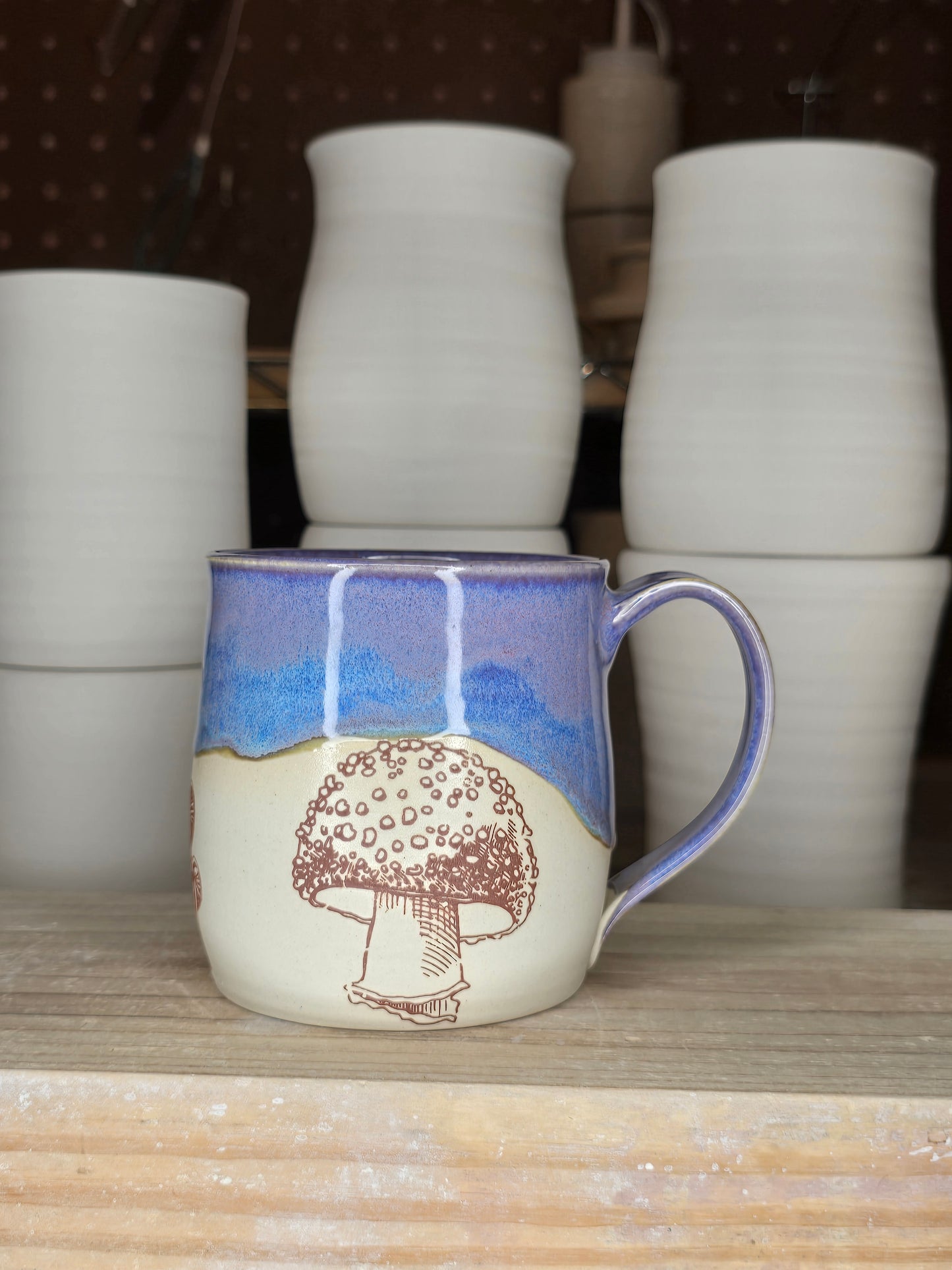 Blueberry Mushroom Mug